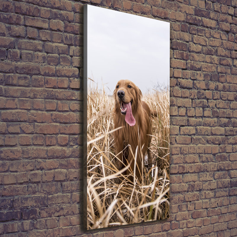 Golden Retriever - Wrapped Canvas Print