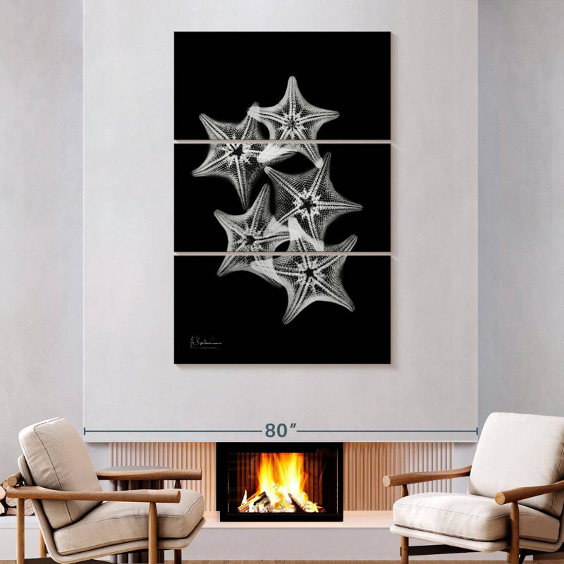 Brampt Starfish Collage, 74" H x 48" W
