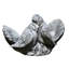 Bird Dove Garden Statue-13913755