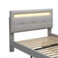 Barbare Upholstered EU Single - 90 X 200 Cm Storage Bed-1692149661