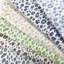 Leopardos-407389385