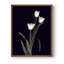 «Tulip Pose I», reproduction encadrée - bois massif-1836737285-1836737290