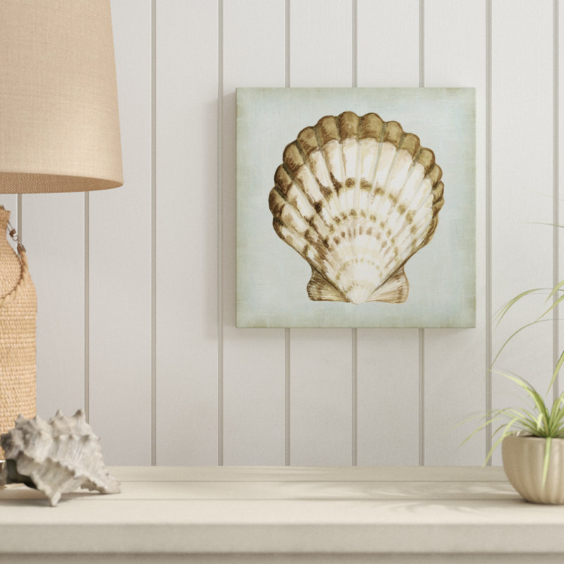 Sea Dream Shells III by Vision Studio - Wrapped Canvas Painting, 30cm H x 30cm W
