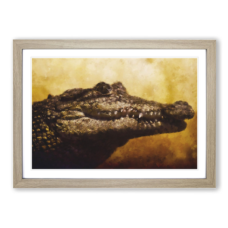 Alligator - Framed Print, 36cm H x 48cm W x 2cm D, Oak Framed