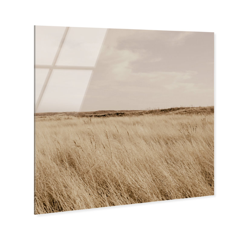 Golden Nature Print by Oliver Gal, 12" H x 12" W, High-Gloss Acrylic Print