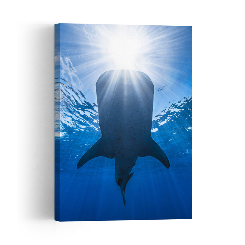 Whale Shark Rays Peaceful Serene Tranquil Shark Whale Nature Ocean Wall Art Print 1 Piece Wrapped Canvas Wall Art