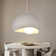 Unusual Pendant Light 1-Light Colbee
