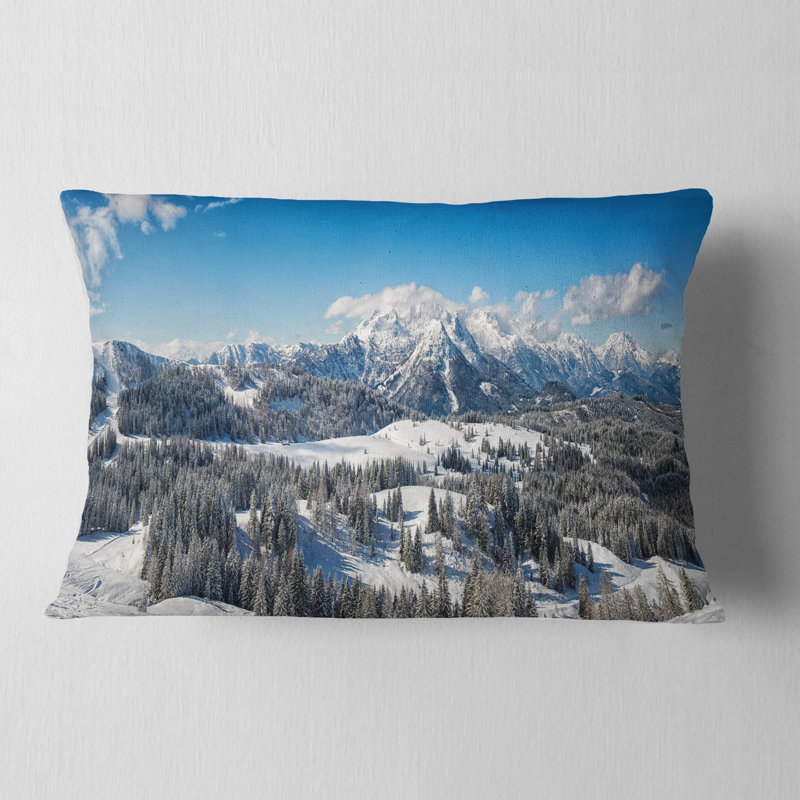 Coussin lombaire Schafer
