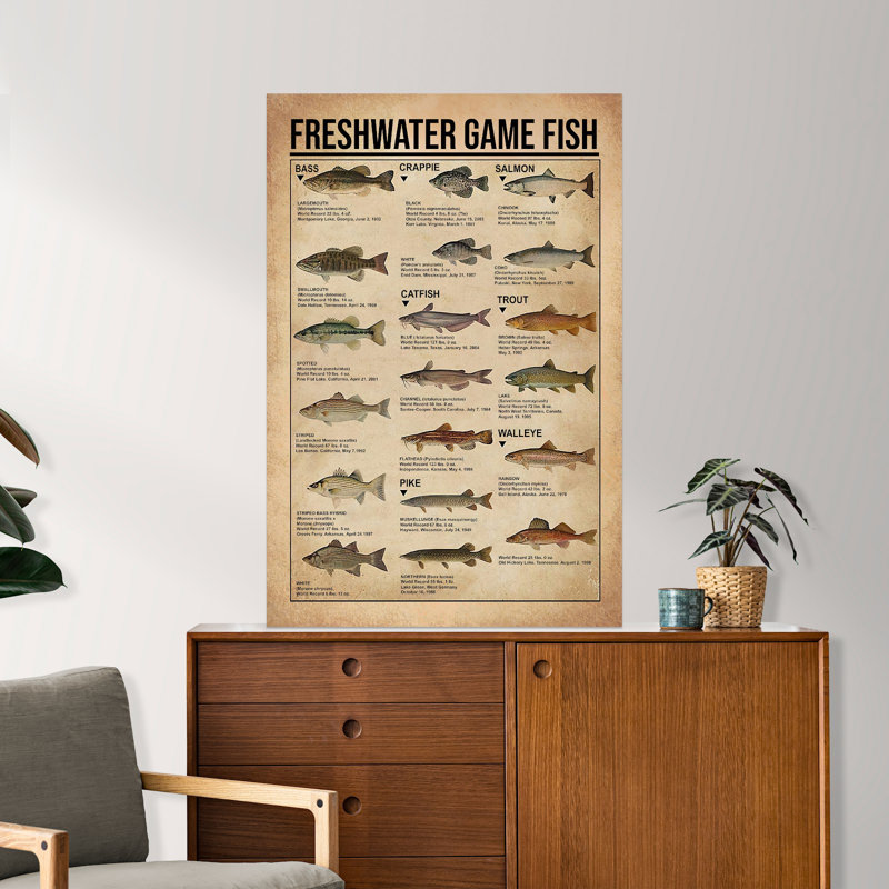 «Freshwater Game Fish», toile tendue sur toile - Illustration de connaissance de poisson animal, décor gris et vert