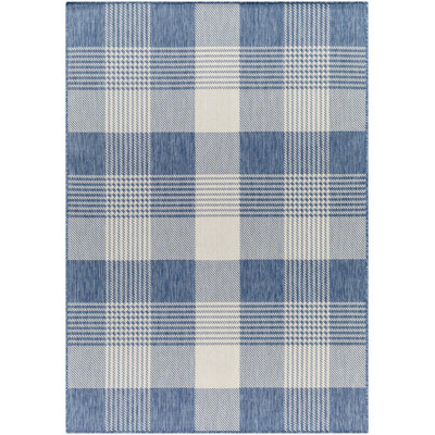 Emmeline Blue/Ivory Outdoor Area Rug
