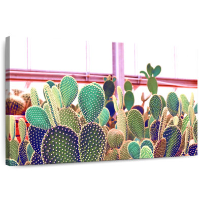 Harnek Nopal