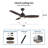 Laylagrace 52'' Ceiling Fan with LED Lights