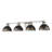 Kinsley 4-Light Vanity Light in Aged Galvanized Steel with Antique Black Iron-577173543