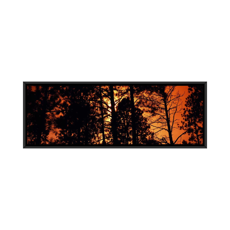 « colorado », reproduction de photo sur toile, H 12 po x l 36 po x P 1,5 po, Toile avec cadre noir