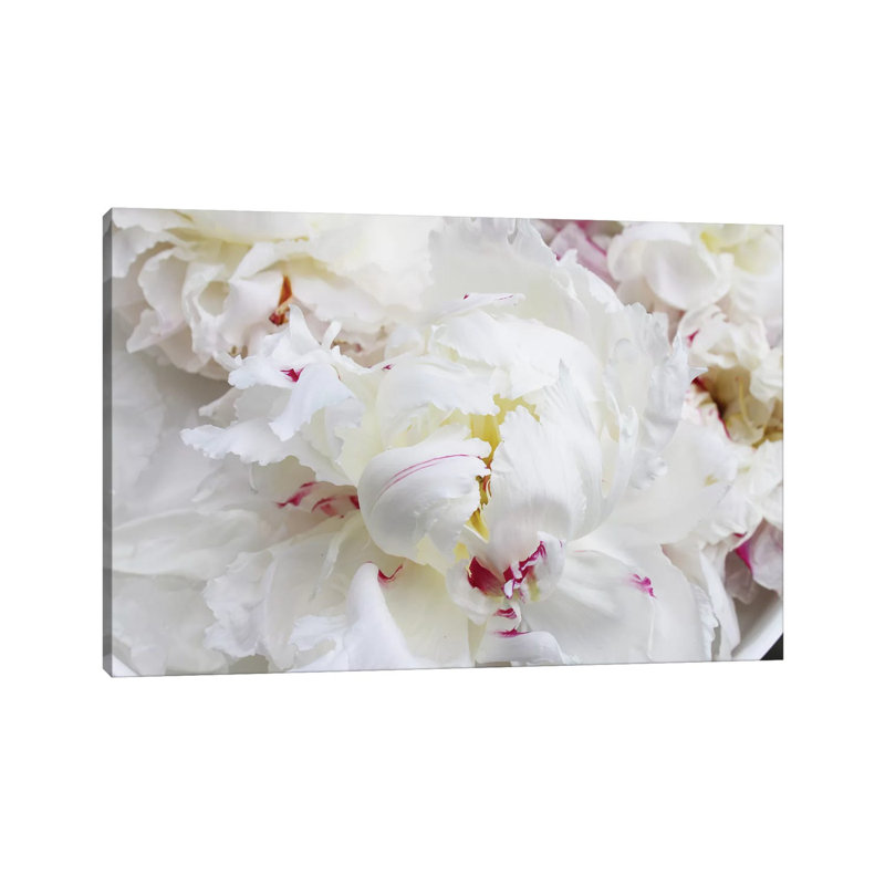 Breathless VI by Irena Orlov - Wrapped Canvas Print, 20.32cm H x 30.48cm W x 1.91cm D