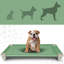 Pet Bed
