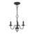 Black w/ Brushed Nickel Accent
