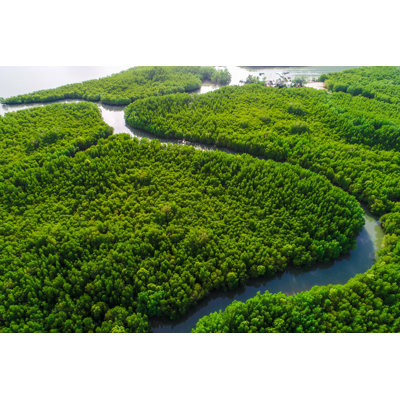 Rainforest Jungle Landscape par Themornglory - Photographie sur toile tendue