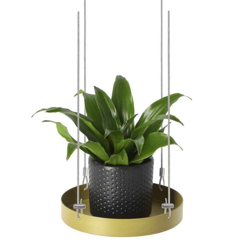 Plant Tray Hanging Round, 2.1 H x 14 L x 14cm D, Gold