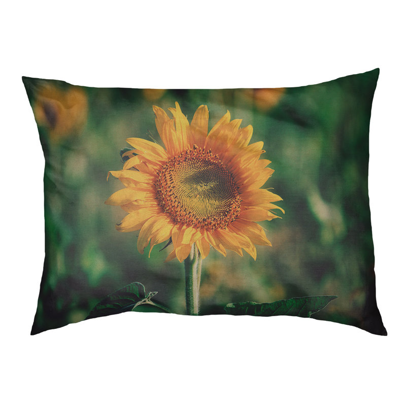 Coussin pour chien tournesol Burnsville, Moyen (L 29,5 po x P19,5 po x H 9,5 po)