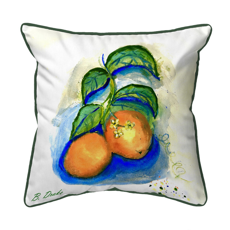  Housse et insert de coussin extérieur d'extérieur, 22 po x 22 po