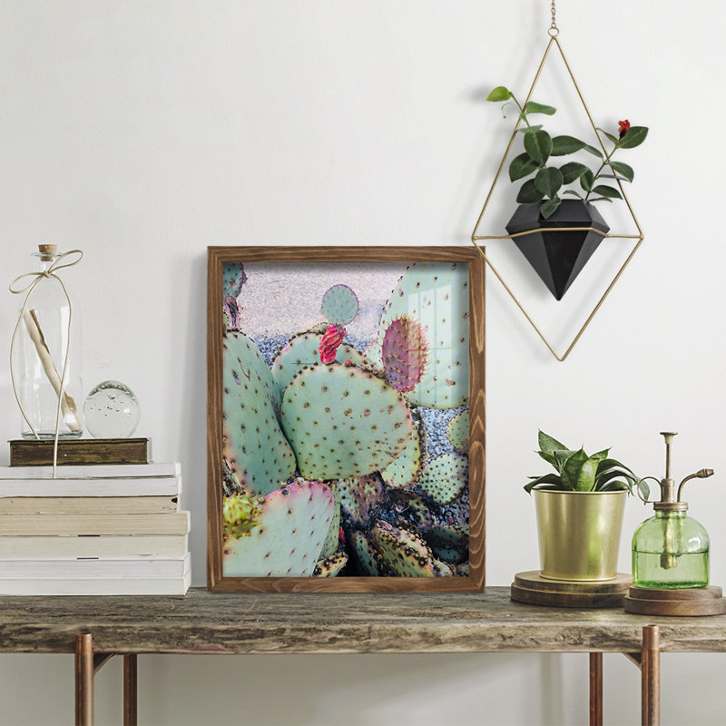 Rose vert cactus II encadré sur papier, H 15 po x l 12 po x P 1 po, Noyer