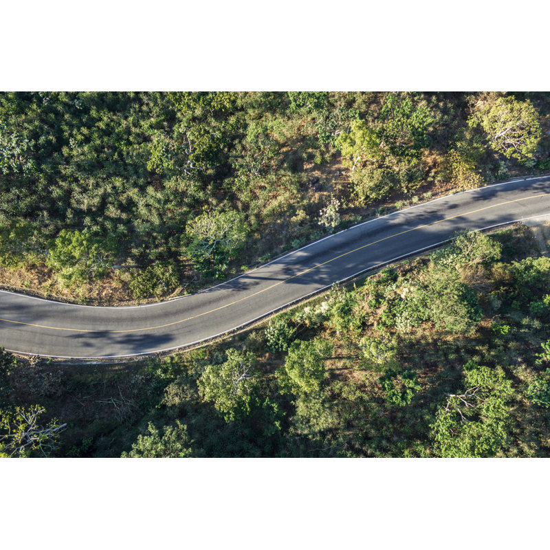 Road in a Forest - Photographie sur toile tendue, L 18 po x H 12 po