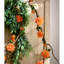Tige de dahlia-238372328