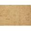 Everett Hand Knotted Wool Oriental Rug