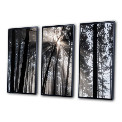 Rayons de soleil à travers la forêt blanche noire - ensemble d'art mural sur toile encadré forêt
