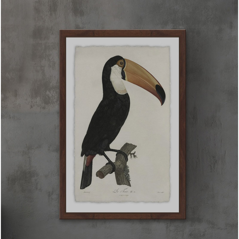 «Quiet Toucan», reproduction d'art encadrée, H 36 po x l 24 po x P 1,5 po