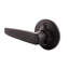 Delavan Dummy Lever-85039905