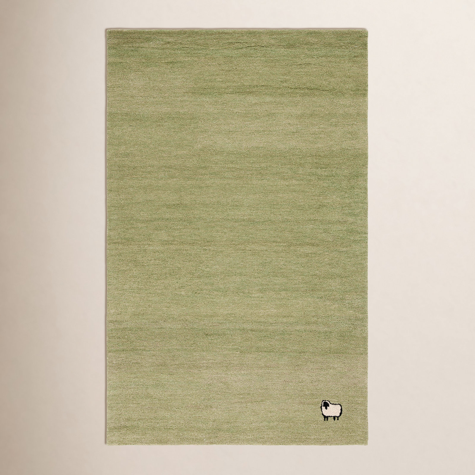 Racheal Handmade Light Green Rug, Rectangle 5' x 8'