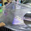 24"x60" Clear Bra Paint Protection Vinyl Film Wrap Transparent Car Paint Shield