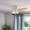 52" Crestfield 5 - Blade Flush Mount Ceiling Fan with Lights and Pull Chains