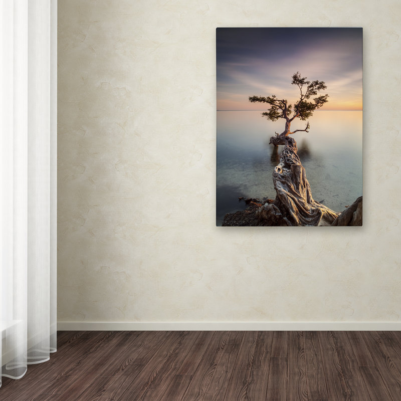 « water tree iii », reproduction de photo sur toile tendue, H 47 po x l 30 po x P 2 po