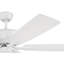 Ventilateur de plafond 52 po-1362405149