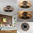 19.6'' Ceiling Fan with Light Kit