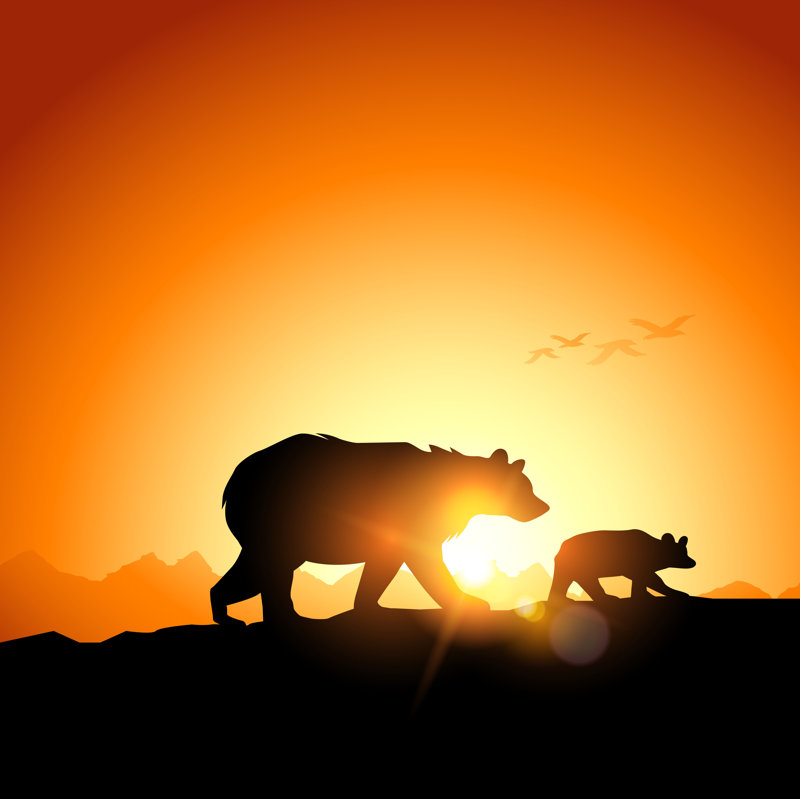 Wild Grizzly Bears by Solarseven - Wrapped Canvas Print, 30cm H x 30cm W