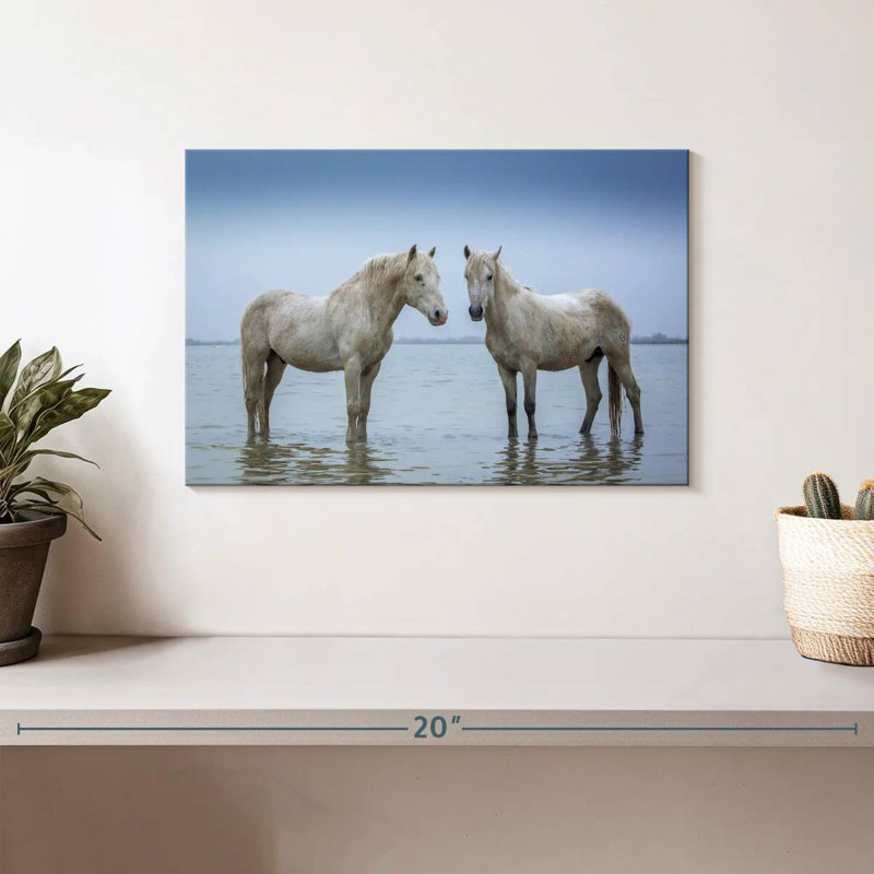 Standing Camargue Horses