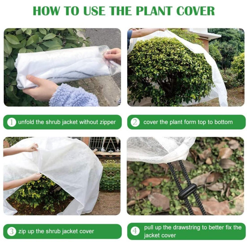 Couvre-plante Abdal, H 108 po x l 108 po x P 108 po