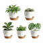 Paquet de 5 pots de fleurs en plastique avec réservoir d'eau et mèche-1768615329