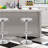 Silvia Swivel Adjustable Height Counter Stool with Metal Frame