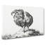 Sketch Of A Rooster by Jean Bernard - Wrapped Canvas Print-55318816