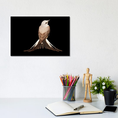A Female Scissor-Tailed Flycatcher At The Wichita Mountains National Wildlife Refuge by Joel Sartore - Gallery-Wrapped Canvas Giclée on Canvas