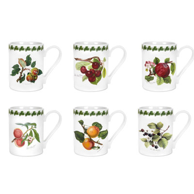 Pomona 6 Piece Coffee Mugs Set