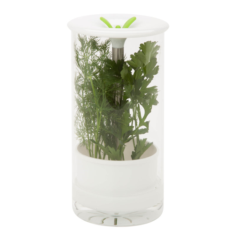 Clear Glass Herb Preserver Jar with Flip Top Lid