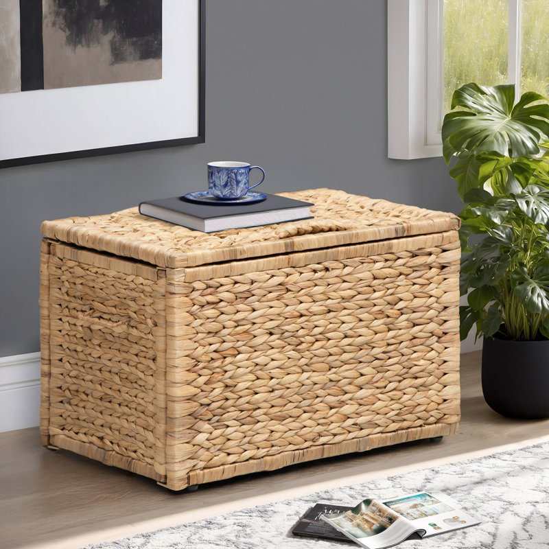 Coffre de rangement robuste en osier de jacinthe d'eau avec charnière de sécurité et structure en métal Ved, H 13,4 po x l 20,5 po x P 14,8 po, naturel
