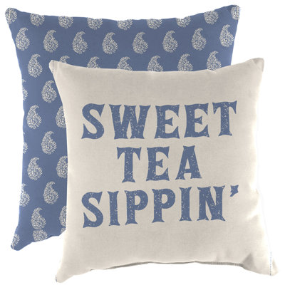 16" x 16" Outdoor Throw Pillow (Set of 2)