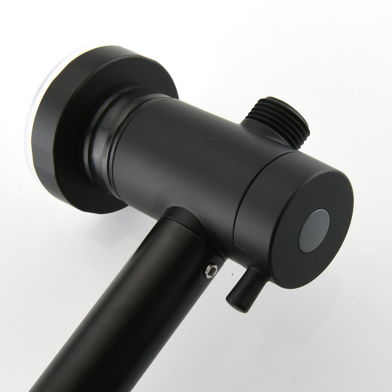 Système de douche à barre coulissante en acier inoxydable, deux têtes, noir mat, 1,8 gallon par minute, option de brouillard hydratant, débit de gallons par minute, bec pivotant